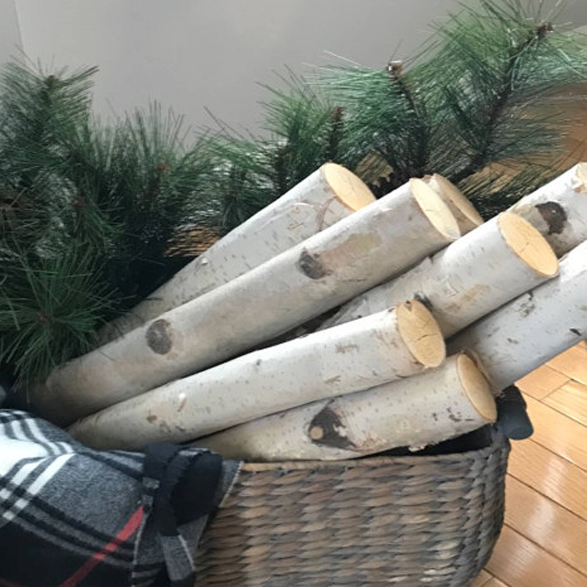 Wilson® Enterprises 6"-8" Large White Birch Fireplace Set, 3ct.